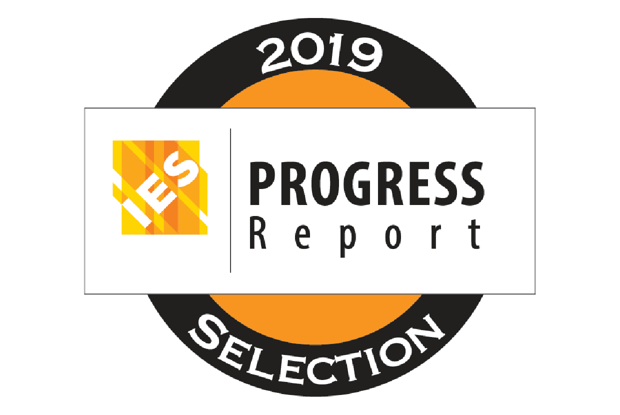 IES progress report 2019 logo
