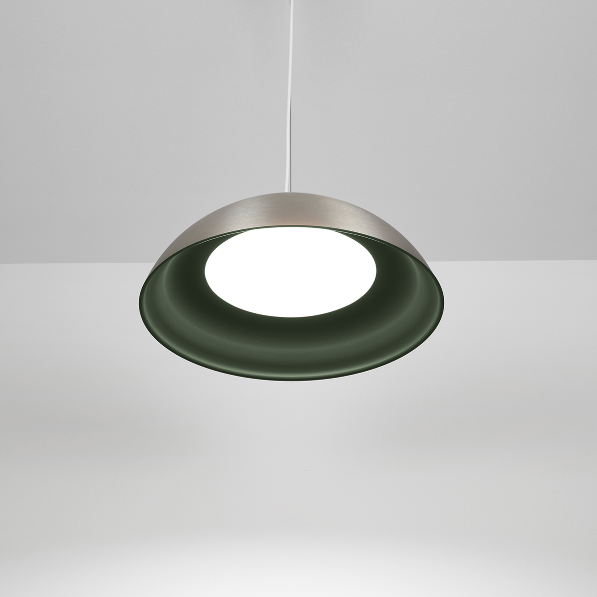 Dome pendant light with LED lighting