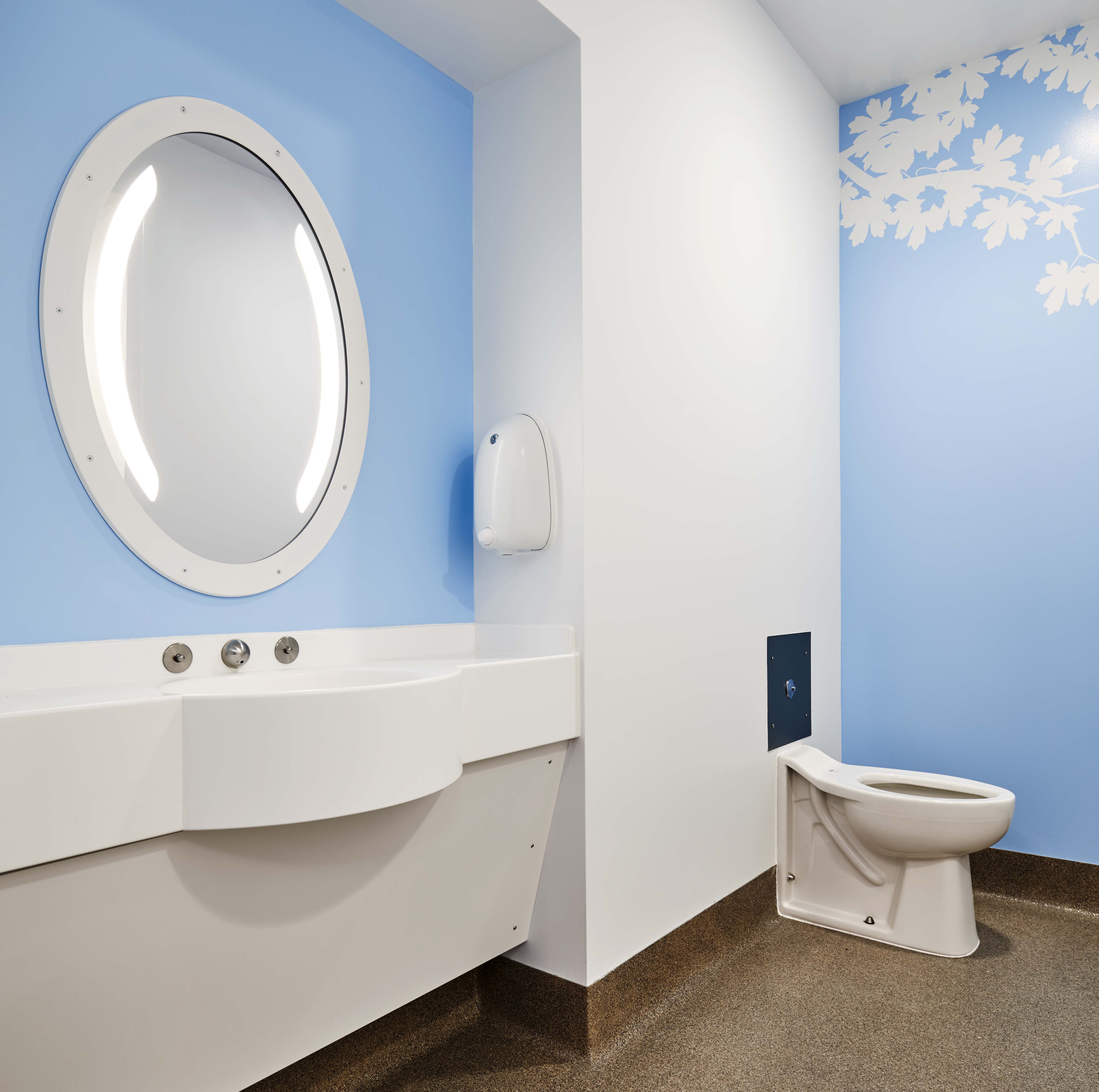 Sole behavioral health mirror in bathroom