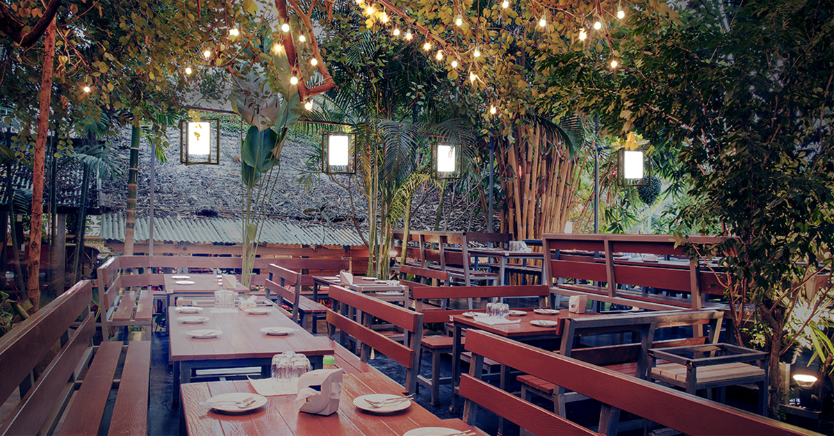 Laterna outdoor pendants above a restaurant lighting application, mounted on catenary cable among tree branches.
